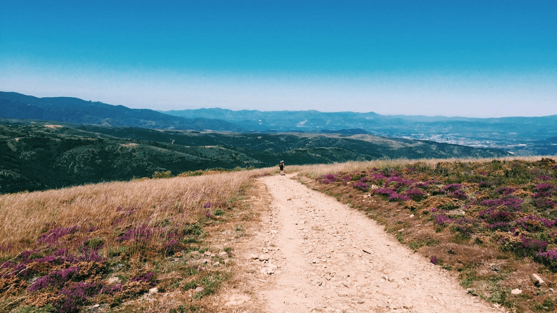 Camino de Santiago